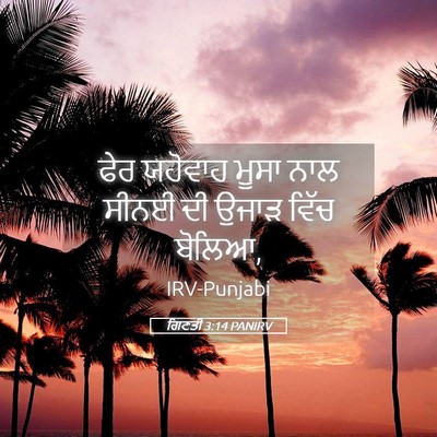 Picture 05 - ਗਿਣਤੀ 3:14 PANIRV - ਫੇਰ ਯਹੋਵਾਹ ਮੂਸਾ - Bible Verse Picture