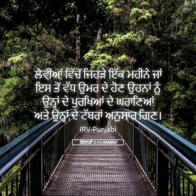 Picture 05 - ਗਿਣਤੀ 3:15 PANIRV - ਲੇਵੀਆਂ ਵਿੱਚੋਂ - Bible Verse Picture
