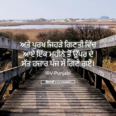 Picture 05 - ਗਿਣਤੀ 3:22 PANIRV - ਅਤੇ ਪੁਰਖ ਜਿਹੜੇ - Bible Verse Picture
