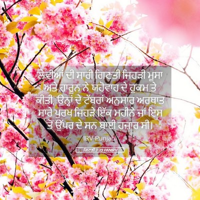 Picture 05 - ਗਿਣਤੀ 3:39 PANIRV - ਲੇਵੀਆਂ ਦੀ ਸਾਰੀ - Bible Verse Picture