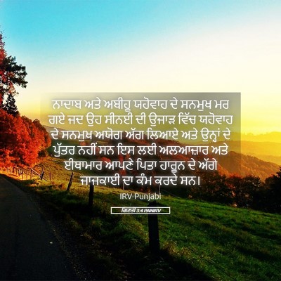 Picture 05 - ਗਿਣਤੀ 3:4 PANIRV - ਨਾਦਾਬ ਅਤੇ ਅਬੀਹੂ - Bible Verse Picture
