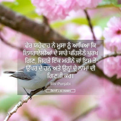 Picture 05 - ਗਿਣਤੀ 3:40 PANIRV - ਫੇਰ ਯਹੋਵਾਹ ਨੇ ਮੂਸਾ - Bible Verse Picture
