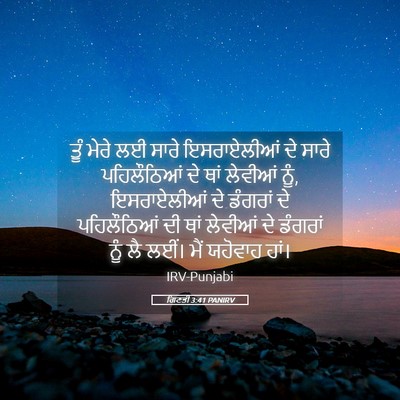 Picture 05 - ਗਿਣਤੀ 3:41 PANIRV - ਤੂੰ ਮੇਰੇ ਲਈ ਸਾਰੇ - Bible Verse Picture