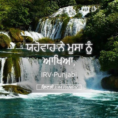 Picture 05 - ਗਿਣਤੀ 3:44 PANIRV - ਯਹੋਵਾਹ ਨੇ ਮੂਸਾ ਨੂੰ - Bible Verse Picture