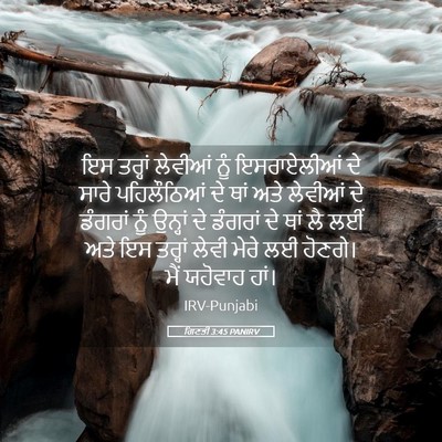 Picture 05 - ਗਿਣਤੀ 3:45 PANIRV - ਇਸ ਤਰ੍ਹਾਂ ਲੇਵੀਆਂ - Bible Verse Picture