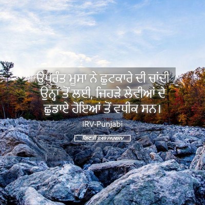 Picture 05 - ਗਿਣਤੀ 3:49 PANIRV - ਉਪਰੰਤ ਮੂਸਾ ਨੇ - Bible Verse Picture