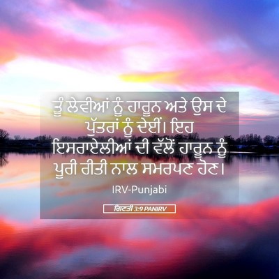 Picture 05 - ਗਿਣਤੀ 3:9 PANIRV - ਤੂੰ ਲੇਵੀਆਂ ਨੂੰ - Bible Verse Picture