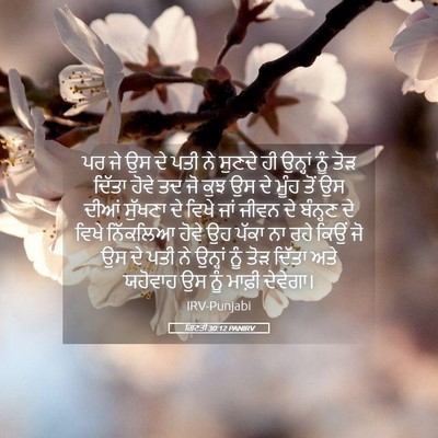 Picture 05 - ਗਿਣਤੀ 30:12 PANIRV - ਪਰ ਜੇ ਉਸ ਦੇ ਪਤੀ ਨੇ - Bible Verse Picture