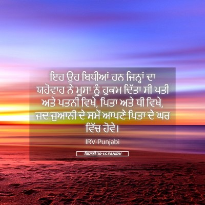 Picture 05 - ਗਿਣਤੀ 30:16 PANIRV - ਇਹ ਉਹ ਬਿਧੀਆਂ ਹਨ - Bible Verse Picture
