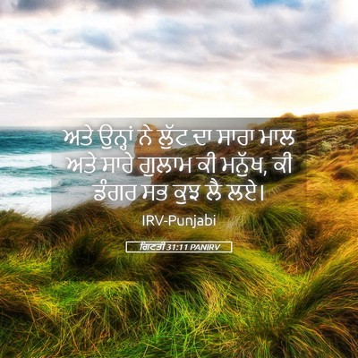 Picture 05 - ਗਿਣਤੀ 31:11 PANIRV - ਅਤੇ ਉਨ੍ਹਾਂ ਨੇ ਲੁੱਟ - Bible Verse Picture