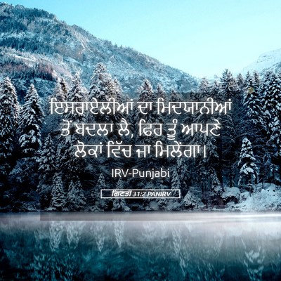 Picture 05 - ਗਿਣਤੀ 31:2 PANIRV - ਇਸਰਾਏਲੀਆਂ ਦਾ - Bible Verse Picture