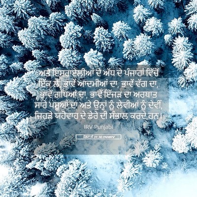 Picture 05 - ਗਿਣਤੀ 31:30 PANIRV - ਅਤੇ ਇਸਰਾਏਲੀਆਂ ਦੇ - Bible Verse Picture