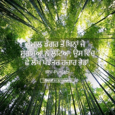 Picture 05 - ਗਿਣਤੀ 31:32 PANIRV - ਮਾਲ ਡੰਗਰ ਤੋਂ - Bible Verse Picture