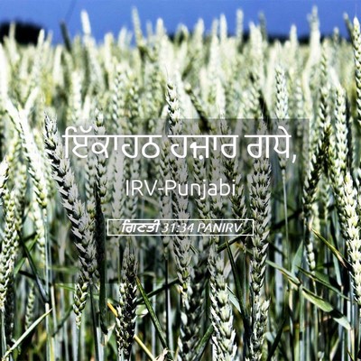 Picture 05 - ਗਿਣਤੀ 31:34 PANIRV - ਇੱਕਾਹਠ ਹਜ਼ਾਰ - Bible Verse Picture