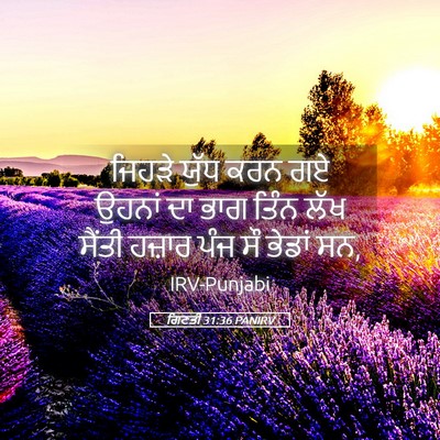 Picture 05 - ਗਿਣਤੀ 31:36 PANIRV - ਜਿਹੜੇ ਯੁੱਧ ਕਰਨ ਗਏ - Bible Verse Picture