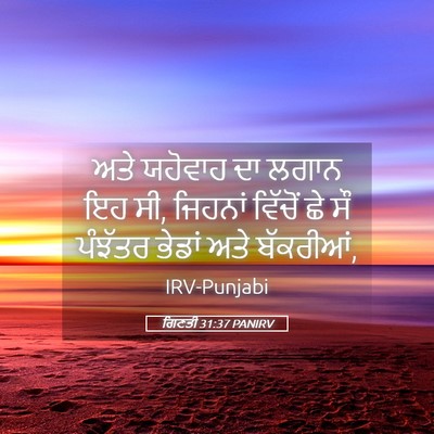 Picture 05 - ਗਿਣਤੀ 31:37 PANIRV - ਅਤੇ ਯਹੋਵਾਹ ਦਾ ਲਗਾਨ - Bible Verse Picture