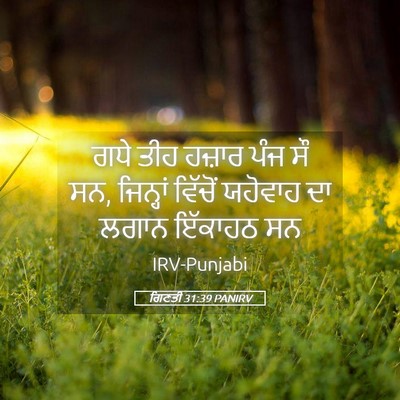Picture 05 - ਗਿਣਤੀ 31:39 PANIRV - ਗਧੇ ਤੀਹ ਹਜ਼ਾਰ ਪੰਜ - Bible Verse Picture