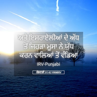 Picture 05 - ਗਿਣਤੀ 31:42 PANIRV - ਅਤੇ ਇਸਰਾਏਲੀਆਂ ਦੇ - Bible Verse Picture