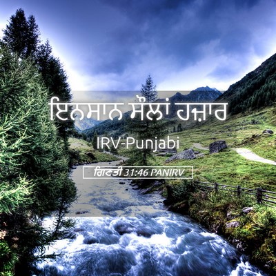Picture 05 - ਗਿਣਤੀ 31:46 PANIRV - ਇਨਸਾਨ ਸੌਲਾਂ - Bible Verse Picture