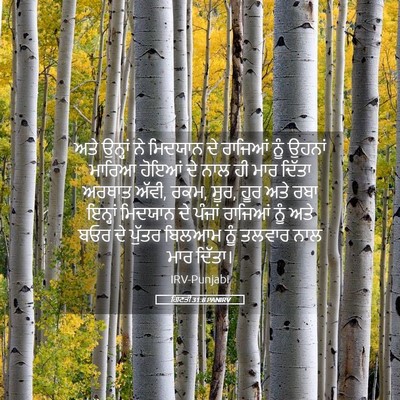 Picture 05 - ਗਿਣਤੀ 31:8 PANIRV - ਅਤੇ ਉਨ੍ਹਾਂ ਨੇ - Bible Verse Picture