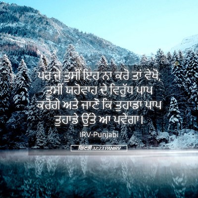 Picture 05 - ਗਿਣਤੀ 32:23 PANIRV - ਪਰ ਜੇ ਤੁਸੀਂ ਇਹ ਨਾ - Bible Verse Picture