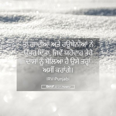 Picture 05 - ਗਿਣਤੀ 32:31 PANIRV - ਤਾਂ ਗਾਦੀਆਂ ਅਤੇ - Bible Verse Picture