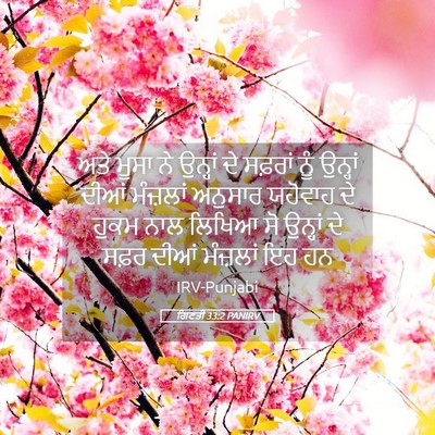 Picture 05 - ਗਿਣਤੀ 33:2 PANIRV - ਅਤੇ ਮੂਸਾ ਨੇ ਉਨ੍ਹਾਂ - Bible Verse Picture