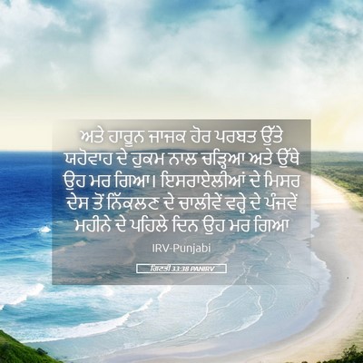 Picture 05 - ਗਿਣਤੀ 33:38 PANIRV - ਅਤੇ ਹਾਰੂਨ ਜਾਜਕ ਹੋਰ - Bible Verse Picture