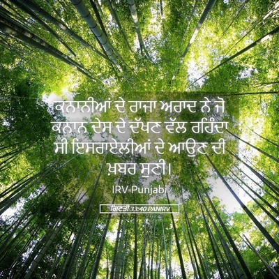Picture 05 - ਗਿਣਤੀ 33:40 PANIRV - ਕਨਾਨੀਆਂ ਦੇ ਰਾਜਾ - Bible Verse Picture