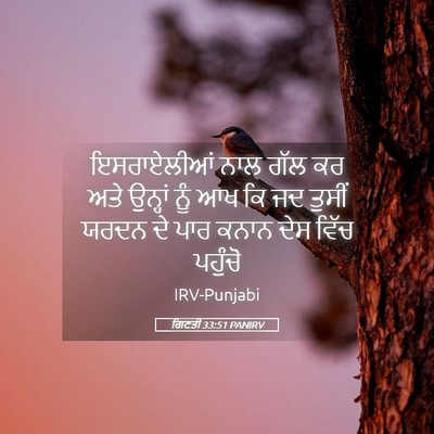 Picture 05 - ਗਿਣਤੀ 33:51 PANIRV - ਇਸਰਾਏਲੀਆਂ ਨਾਲ ਗੱਲ - Bible Verse Picture
