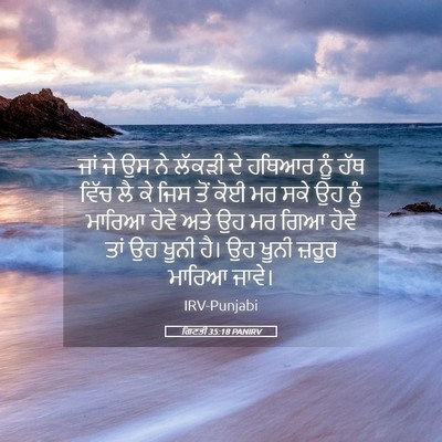 Picture 05 - ਗਿਣਤੀ 35:18 PANIRV - ਜਾਂ ਜੇ ਉਸ ਨੇ ਲੱਕੜੀ - Bible Verse Picture
