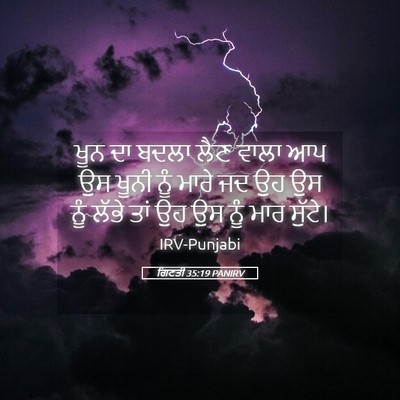 Picture 05 - ਗਿਣਤੀ 35:19 PANIRV - ਖੂਨ ਦਾ ਬਦਲਾ ਲੈਣ - Bible Verse Picture