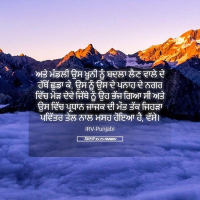 Picture 05 - ਗਿਣਤੀ 35:25 PANIRV - ਅਤੇ ਮੰਡਲੀ ਉਸ ਖੂਨੀ - Bible Verse Picture