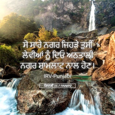 Picture 05 - ਗਿਣਤੀ 35:7 PANIRV - ਸੋ ਸਾਰੇ ਨਗਰ ਜਿਹੜੇ - Bible Verse Picture
