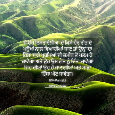 Picture 05 - ਗਿਣਤੀ 36:3 PANIRV - ਜੇ ਉਹ ਇਸਰਾਏਲੀਆਂ ਦੇ - Bible Verse Picture