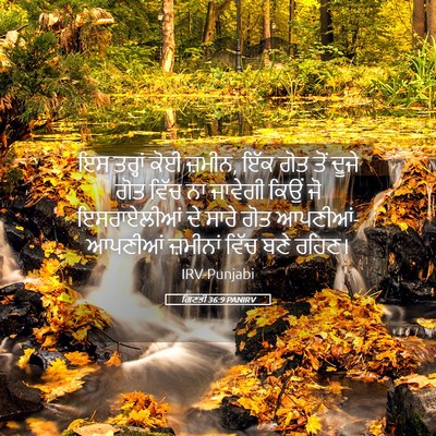 Picture 05 - ਗਿਣਤੀ 36:9 PANIRV - ਇਸ ਤਰ੍ਹਾਂ ਕੋਈ - Bible Verse Picture