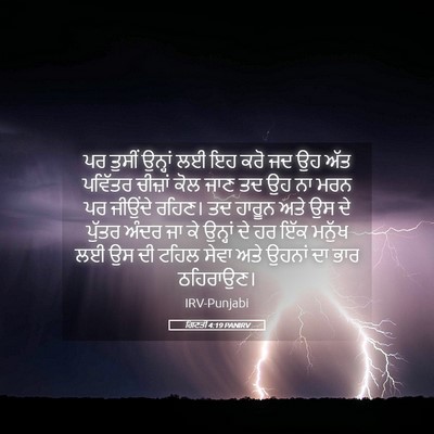 Picture 05 - ਗਿਣਤੀ 4:19 PANIRV - ਪਰ ਤੁਸੀਂ ਉਨ੍ਹਾਂ ਲਈ - Bible Verse Picture
