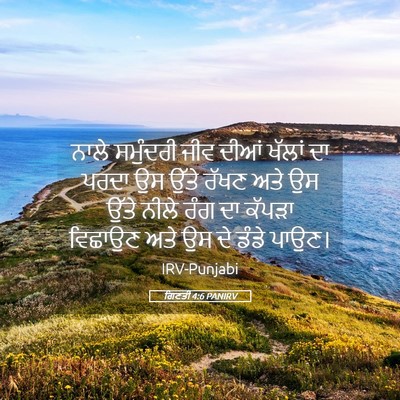 Picture 05 - ਗਿਣਤੀ 4:6 PANIRV - ਨਾਲੇ ਸਮੁੰਦਰੀ ਜੀਵ - Bible Verse Picture