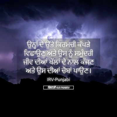 Picture 05 - ਗਿਣਤੀ 4:8 PANIRV - ਉਨ੍ਹਾਂ ਦੇ ਉੱਤੇ - Bible Verse Picture