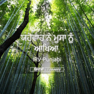 Picture 05 - ਗਿਣਤੀ 5:1 PANIRV - ਯਹੋਵਾਹ ਨੇ ਮੂਸਾ ਨੂੰ - Bible Verse Picture