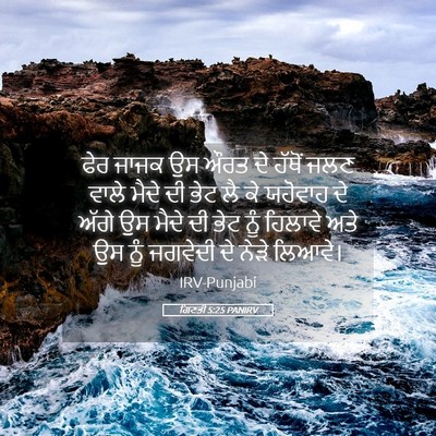 Picture 05 - ਗਿਣਤੀ 5:25 PANIRV - ਫੇਰ ਜਾਜਕ ਉਸ ਔਰਤ ਦੇ - Bible Verse Picture