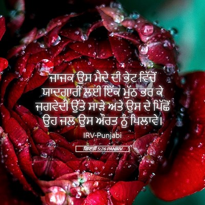 Picture 05 - ਗਿਣਤੀ 5:26 PANIRV - ਜਾਜਕ ਉਸ ਮੈਦੇ ਦੀ ਭੇਟ - Bible Verse Picture