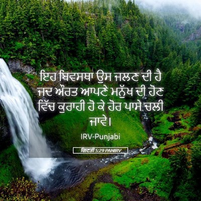 Picture 05 - ਗਿਣਤੀ 5:29 PANIRV - ਇਹ ਬਿਵਸਥਾ ਉਸ ਜਲਣ ਦੀ - Bible Verse Picture