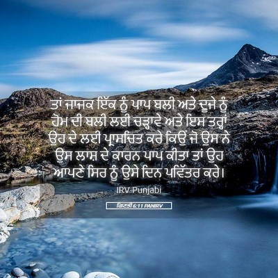 Picture 05 - ਗਿਣਤੀ 6:11 PANIRV - ਤਾਂ ਜਾਜਕ ਇੱਕ ਨੂੰ - Bible Verse Picture