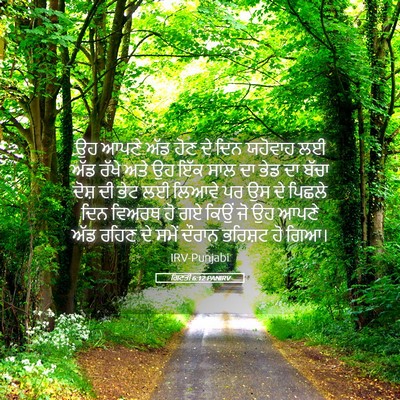 Picture 05 - ਗਿਣਤੀ 6:12 PANIRV - ਉਹ ਆਪਣੇ ਅੱਡ ਹੋਣ ਦੇ - Bible Verse Picture