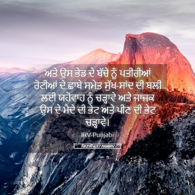 Picture 05 - ਗਿਣਤੀ 6:17 PANIRV - ਅਤੇ ਉਸ ਭੇਡ ਦੇ ਬੱਚੇ - Bible Verse Picture