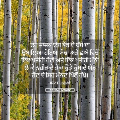 Picture 05 - ਗਿਣਤੀ 6:19 PANIRV - ਫੇਰ ਜਾਜਕ ਉਸ ਭੇਡ ਦੇ - Bible Verse Picture