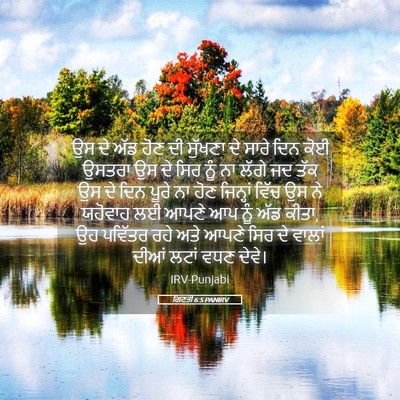 Picture 05 - ਗਿਣਤੀ 6:5 PANIRV - ਉਸ ਦੇ ਅੱਡ ਹੋਣ ਦੀ - Bible Verse Picture
