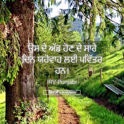 Picture 05 - ਗਿਣਤੀ 6:8 PANIRV - ਉਸ ਦੇ ਅੱਡ ਹੋਣ ਦੇ - Bible Verse Picture