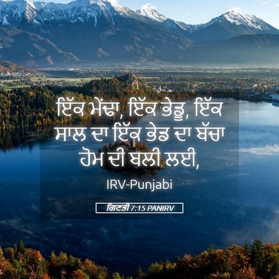 Picture 05 - ਗਿਣਤੀ 7:15 PANIRV - ਇੱਕ ਮੇਂਢਾ, ਇੱਕ - Bible Verse Picture